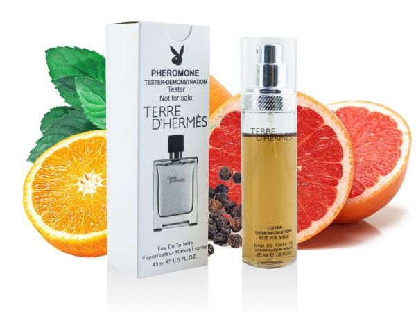 Hermes Terre d'Hermes, Edt, 45 ml wholesale